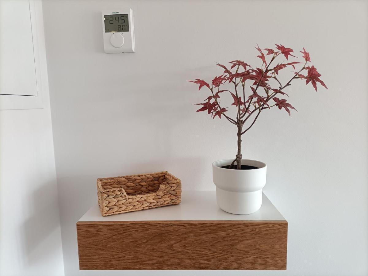 Precioso Apartamento Nuevo Centrico En Santander Eksteriør billede